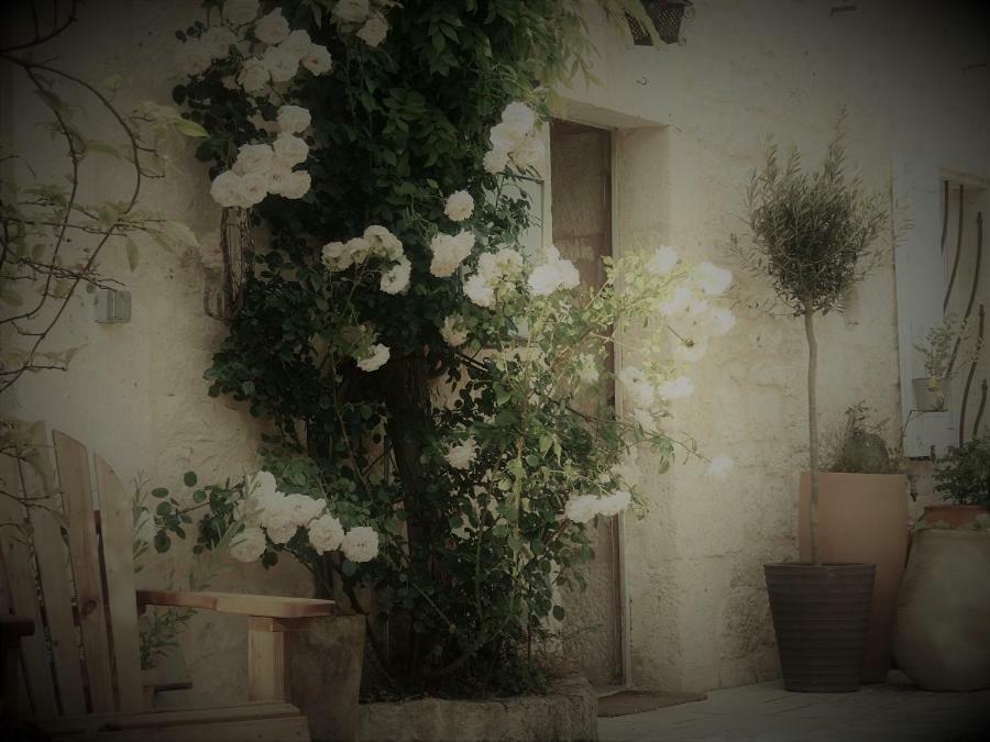 Bastida De Beata Bed & Breakfast Noailles  Exterior photo